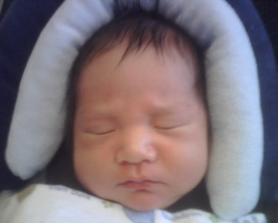 IMG00184.jpg