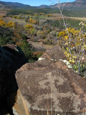 walnut man and juniper wilderness