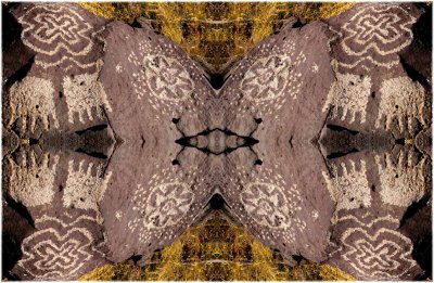 IMG_2584distort1 low res.jpg