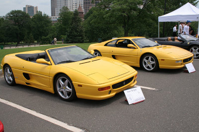Yellow 355's