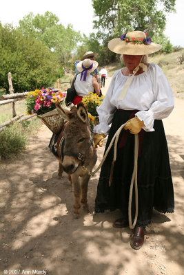 Lady with miniature burro