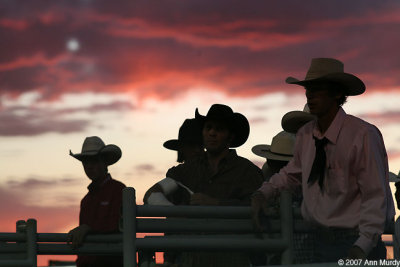Cowboys and pink sky