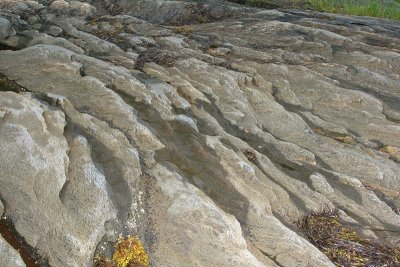 More Rocks at Low Tide