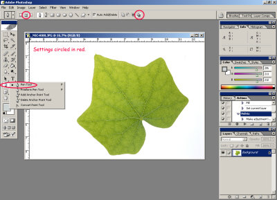 Pen Tool Directions