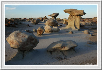 Bisti Badland