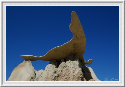 Wing. Bisti Badland