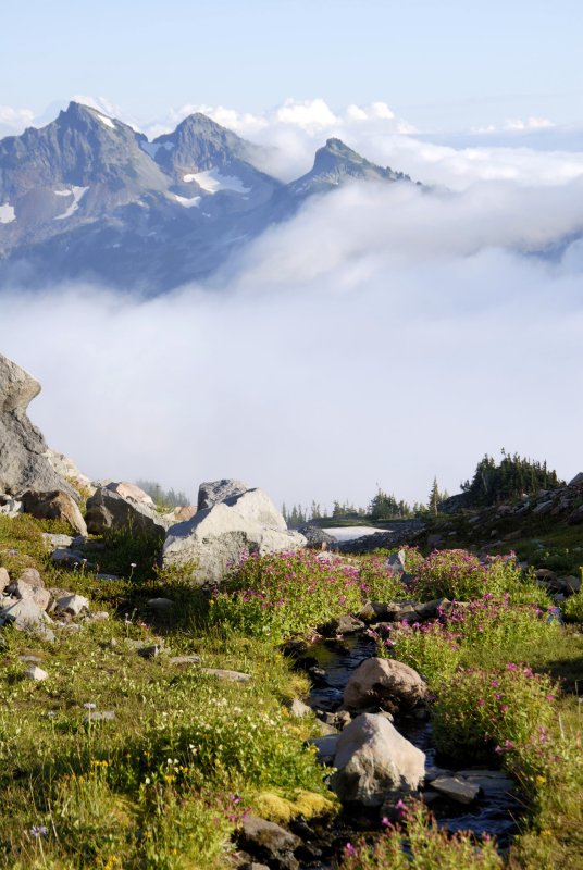 Meadow, stream and distant peaks