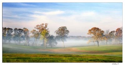 St. Francisville  - Mist in the Valley