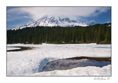 Mt. Ranier 003