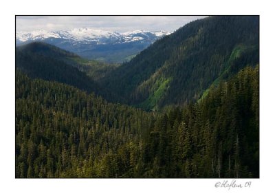 g6/87/164787/3/80851551.0F9t5dpt.jpg