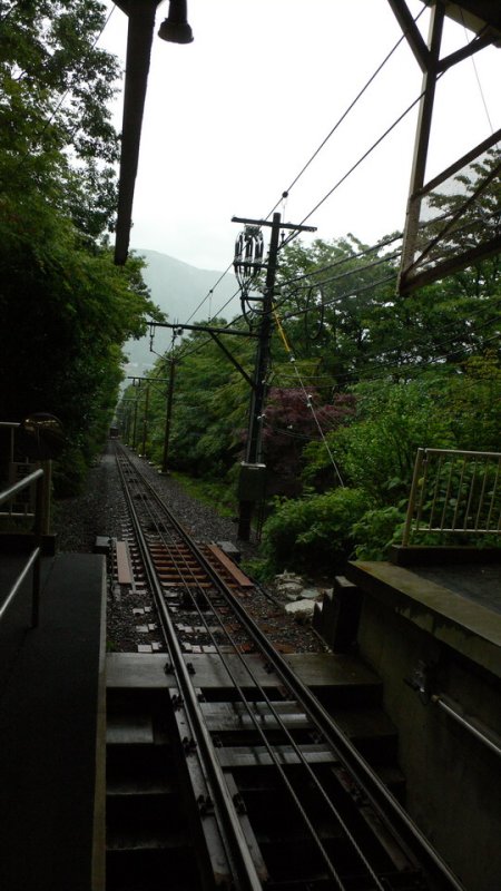 hm035.JPG