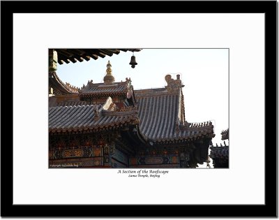 A Section of Roofscape at Lama Temple