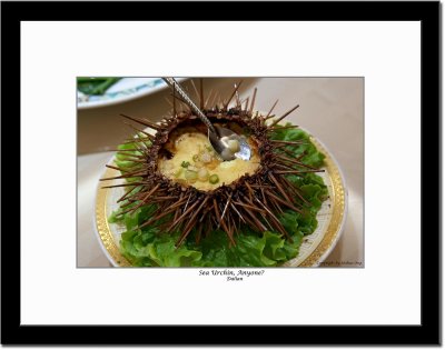 Sea Urchin, Anyone?