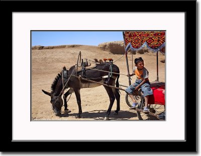 Donkey Cart and Our Very Young Driver