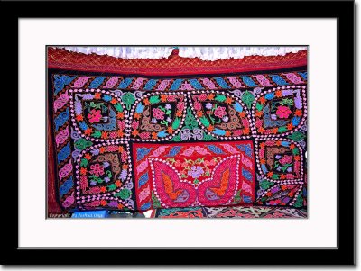 Beautiful Kazakhs Embroidery