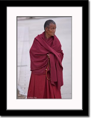 A Seasoned Monk