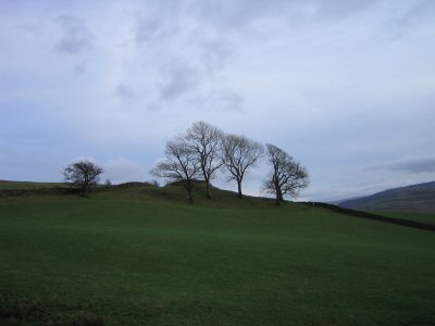 A pastoral view