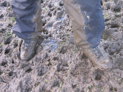 We had to document the mud (with all the sheep footprints)