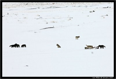 PC-IMG_1145C.jpg