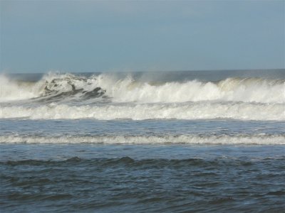 Wave
