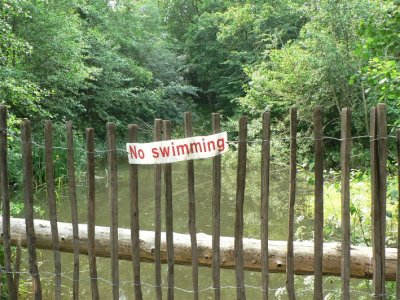 Swan Lake