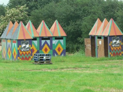 African Bogs