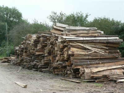 Railway track woodpile