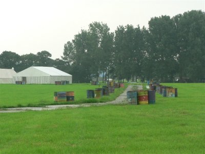 The Glade