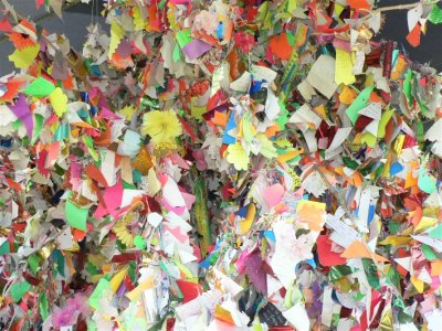 Wishing Tree getting well loaded
