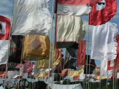 WOMAD flags