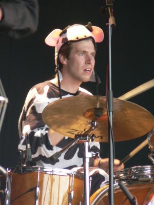Drumming cow