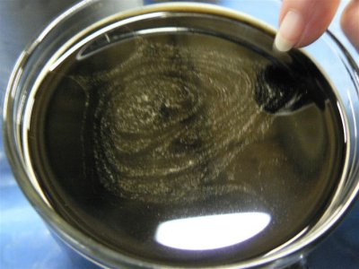 There's a galaxy in my beer!