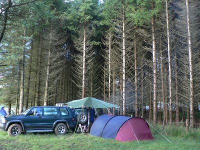Forest campers