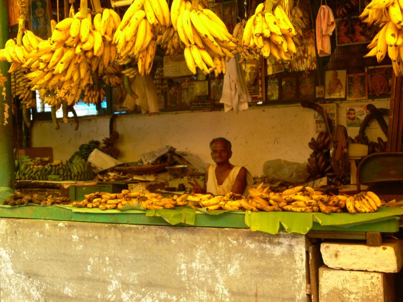 Study in yellow