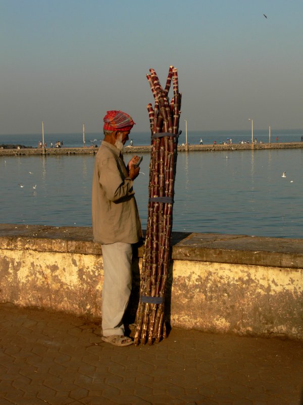 Sugar cane man