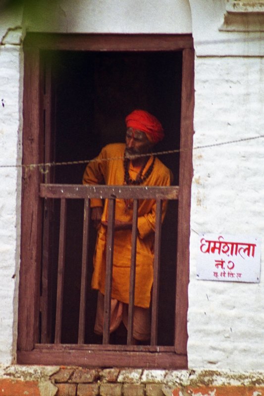 Vision in orange
