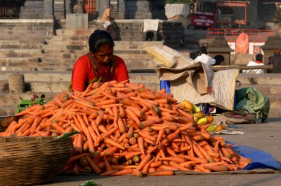 Carrots for sale