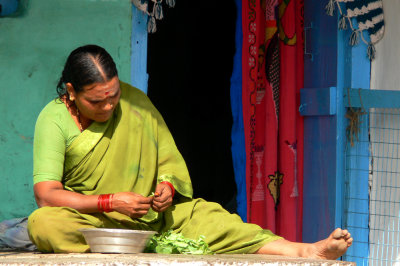 Vegetable cleaner