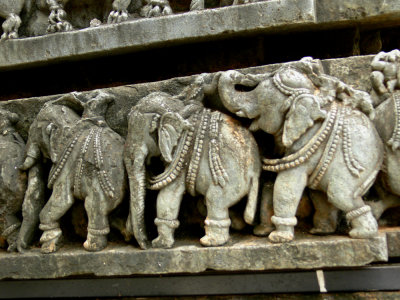 Elephants