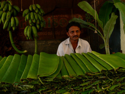 Leaves