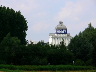 remy