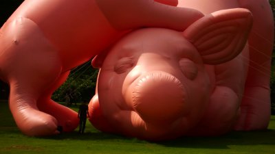 Piggies (Paul McCarthy)