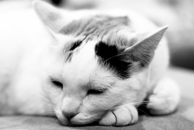 DSC_0106.jpg