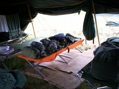 home sweet home, complete with a cardboard floor