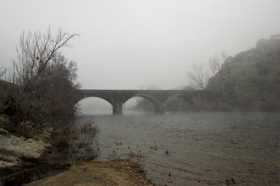 Foggy morning by the river