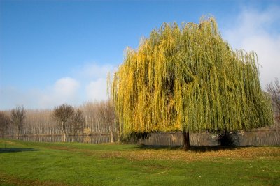 Mirandela City Park 3