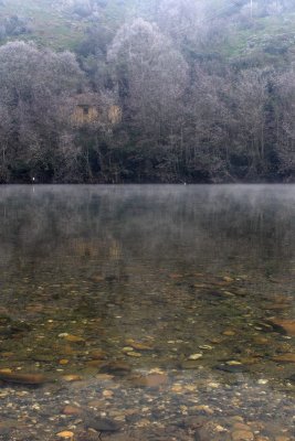 Foggy Reflection