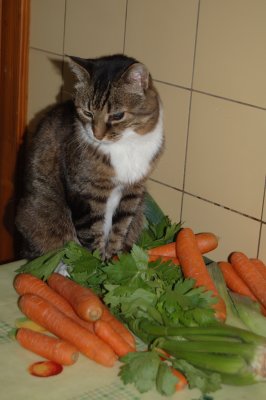 Oups ! des carottes et du cleri, tout ce que j'aime :)
