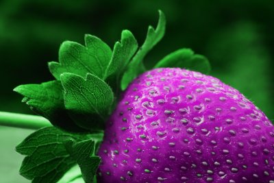 SDIM0187 strawberry purple.jpg