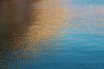 SDIM4072 golden reflection.jpg